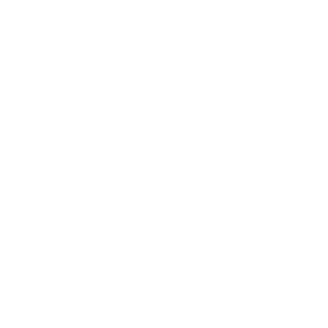 demo-icon